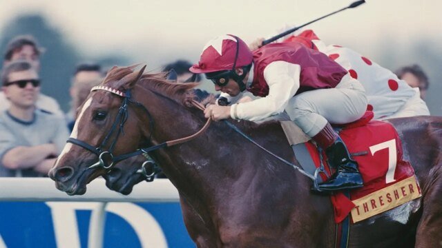 frankie-detori-horse-7226.jpg