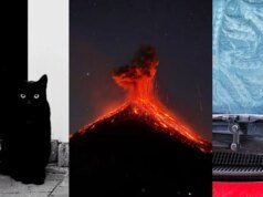 Los ganadores de los iPhone Photography Awards 2026 redefinen el concepto de ‘foto de iPhone’