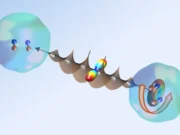 Una nueva centrífuga óptica descubre los secretos de los superfluidos sin fricción